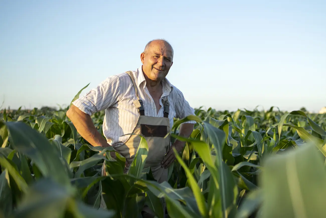 Brasil, o país do agronegócio