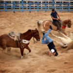 Ilustração de arena de vaquejada destacando o cumprimento de normas técnicas de proteção animal.