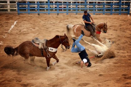 Ilustração de arena de vaquejada destacando o cumprimento de normas técnicas de proteção animal.