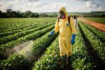 Trabalhador rural em lavoura com equipamento de proteção contra agrotóxicos no Brasil